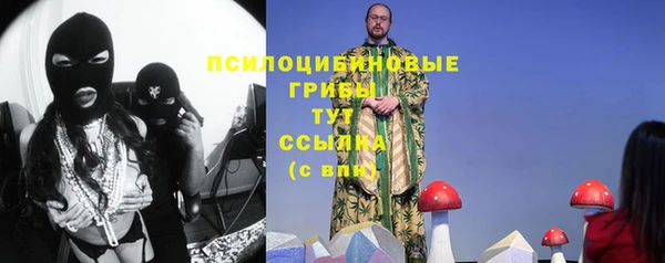 индика Верхнеуральск