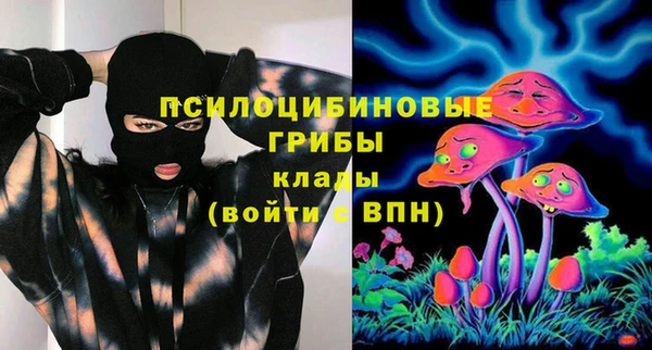 индика Верхнеуральск