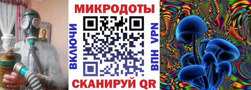 купить наркоту  Лодейное Поле  Галлюциногенные грибы мухоморы 